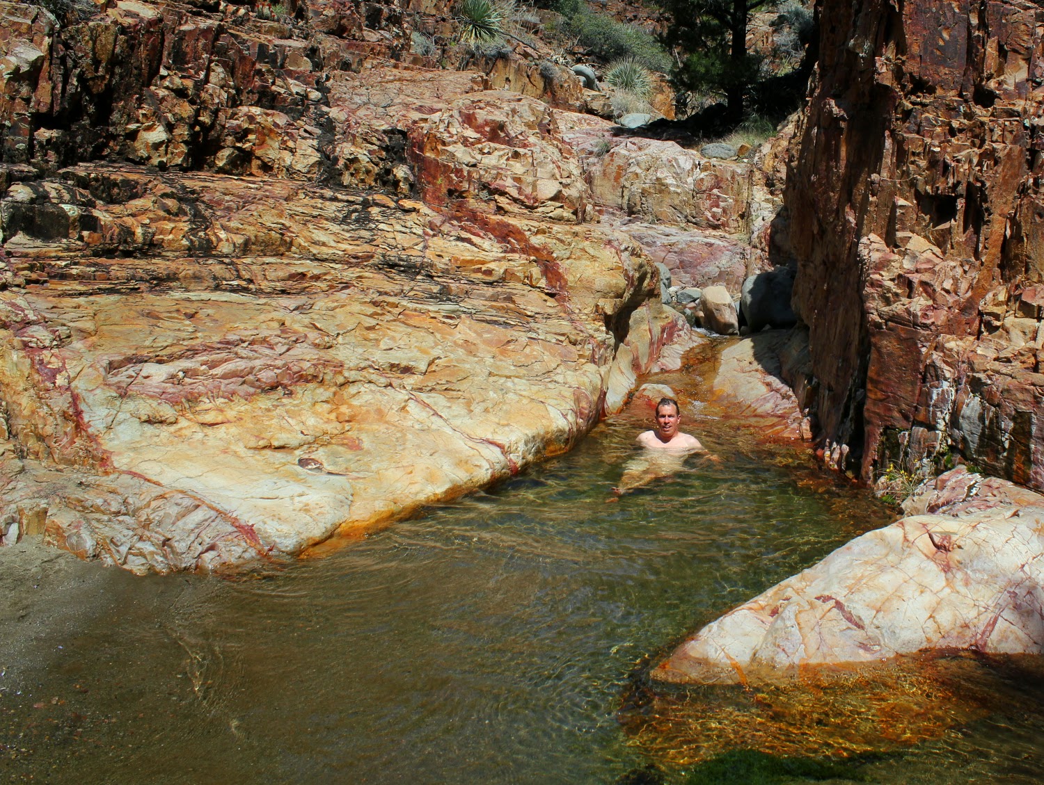 IMG_3505.JPG width=640